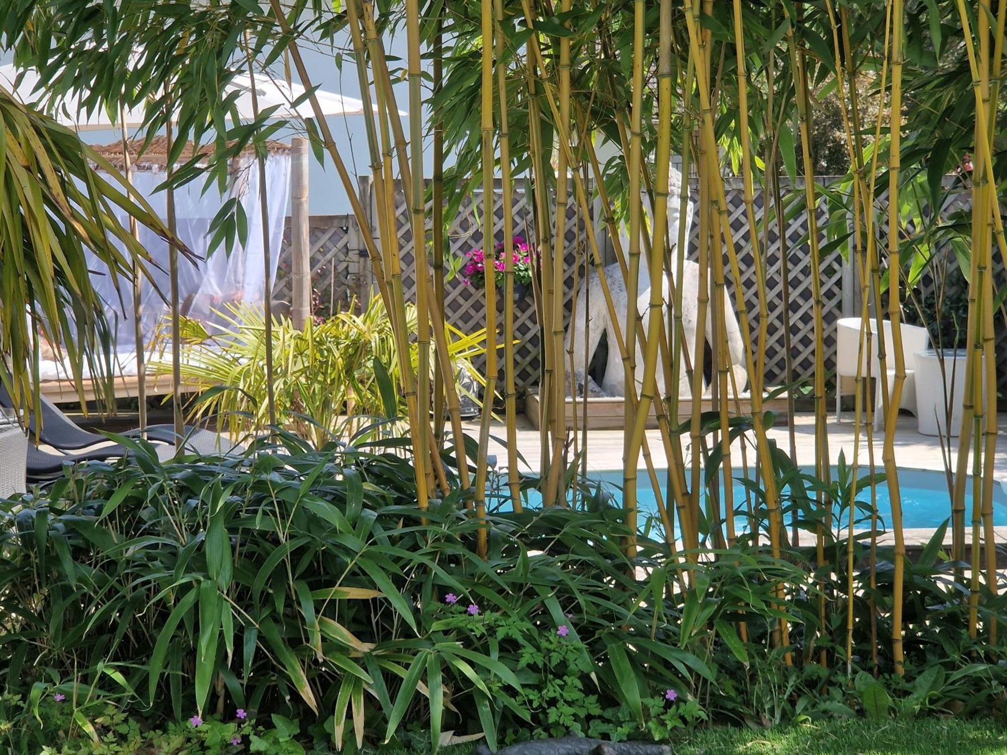 La Serenite Balinaise, Chambre Et Sdb Privee, Jardin , Piscine Et Jacuzzi En Saison, Pres De Chantilly, Parc Asterix Et Cdg Et Paris En 20' オリ・ラ・ヴィル エクステリア 写真